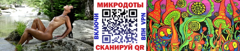 закладки  Учалы  Галлюциногенные грибы Psilocybe 